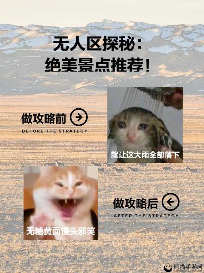 无人区一码二码三码四码多人收藏，探索未知的私密世界